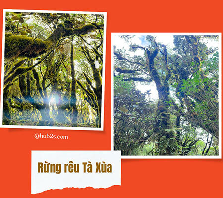 Kinh nghiệm đi trekking tour Tà Xùa 2 ngày 1 đêm tự túc