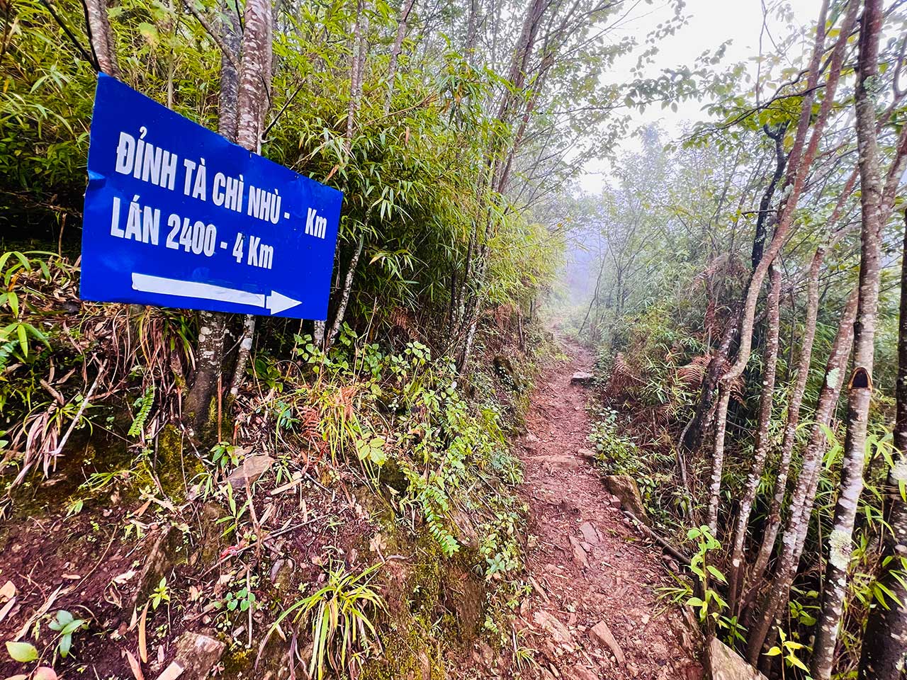 bang-chi-dan-huong-len-lan-2400m