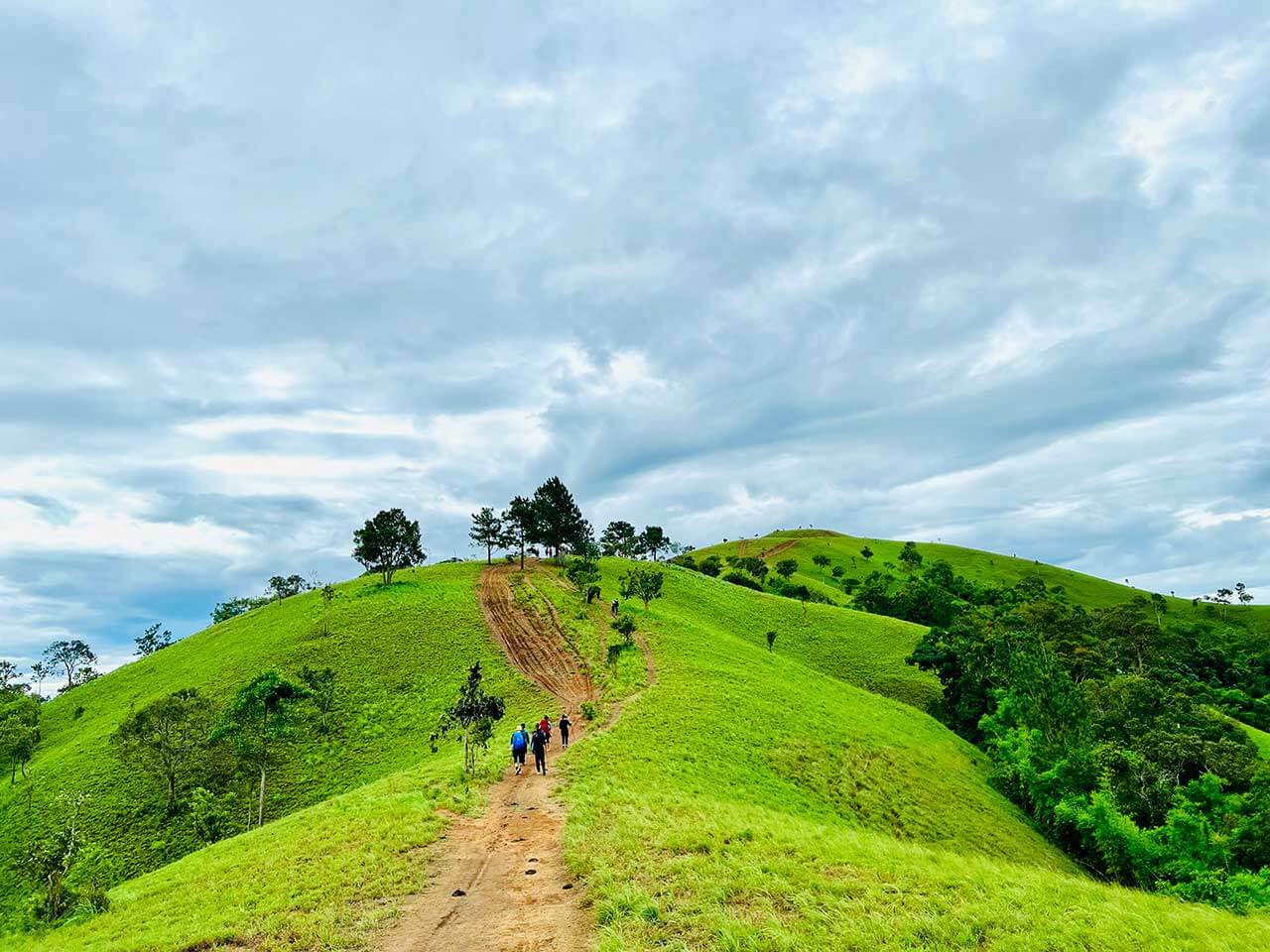 cung-duong-doi-co-xanh-ta-nang-phan-dung