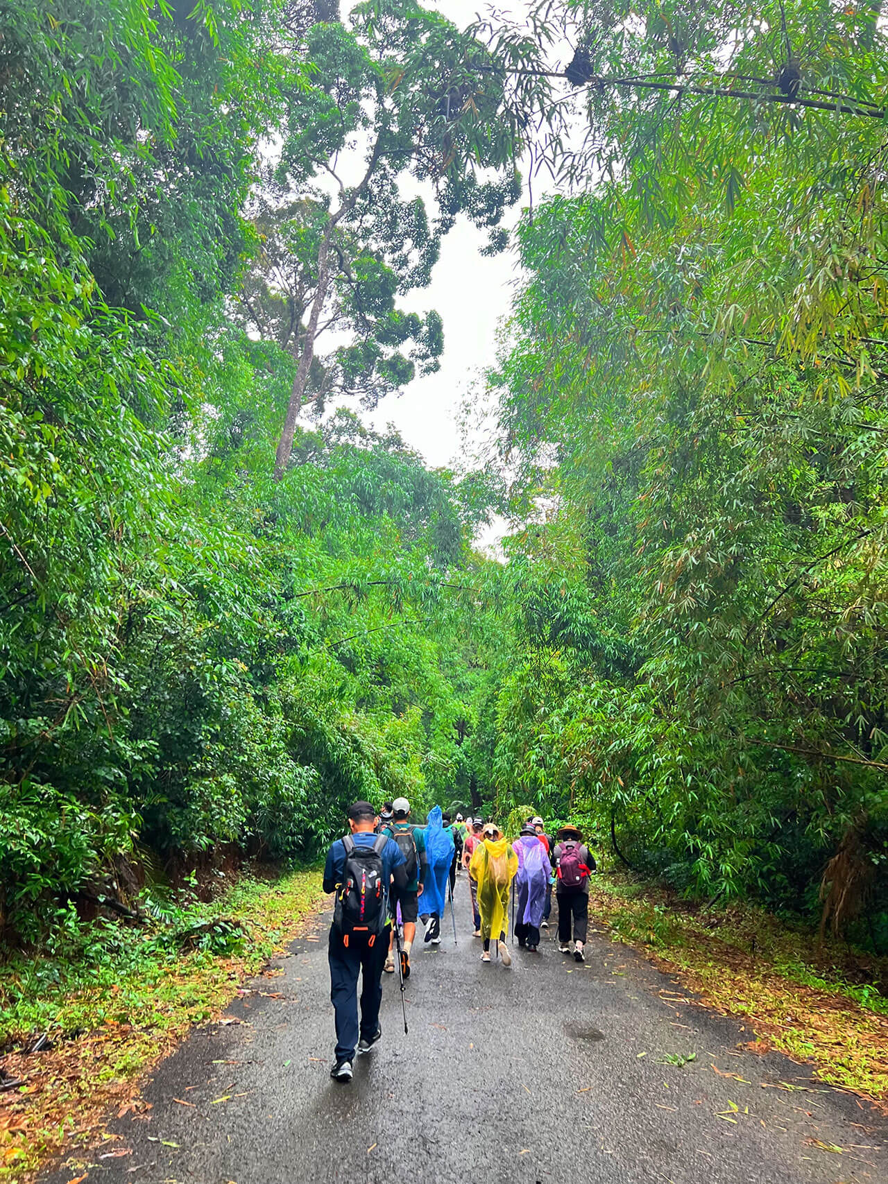 trekking-tren-duong-nhua-bu-gia-map