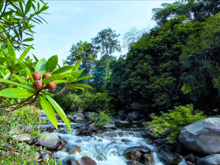 Hồ Tiên La Ngâu 08.09.24