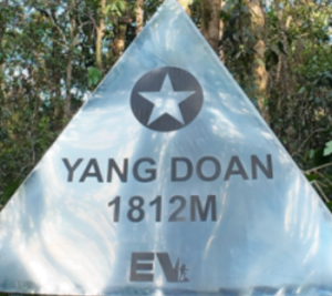YANG DOAN | CAO NGUYÊN DI LINH