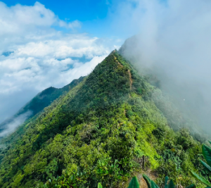 Trekking rừng rêu Phu Sa Phìn (Tà xủa cũ) theo hướng Hang Chú - Trạm Tấu