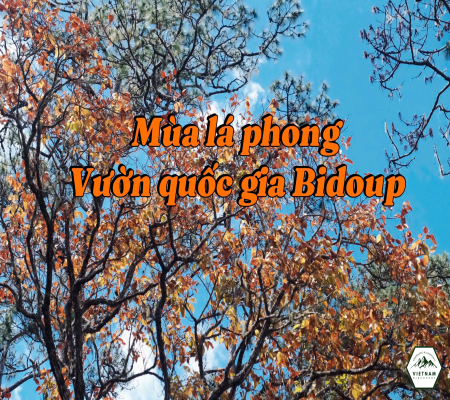 Trekking Bidoup Đỉnh 2287M