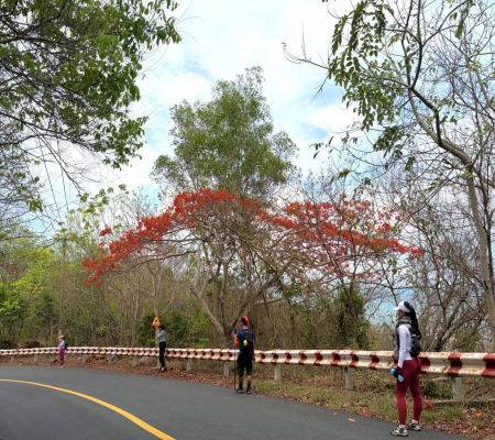 Cuối tuần hiking nhẹ nhàng núi Minh Đạm