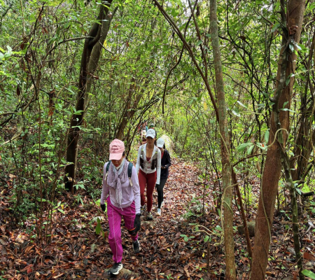 Cuối tuần hiking nhẹ nhàng núi Minh Đạm