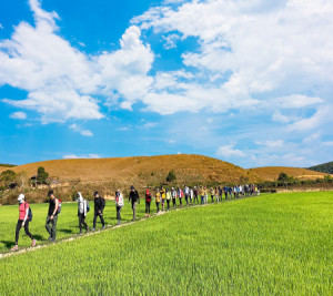 Tà Năng Phan Dũng mùa cỏ xanh