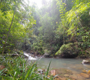 Trekking Núi Ông Bình Thuận